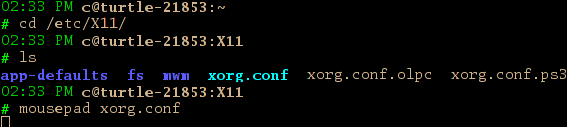 Screenshot of configuring Xorg Display step 1.